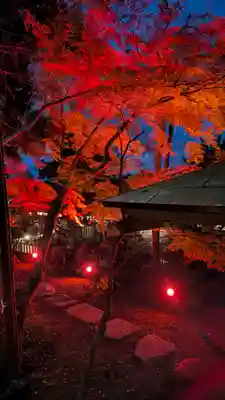出雲大神宮(京都府)