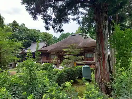 國分寺の建物その他