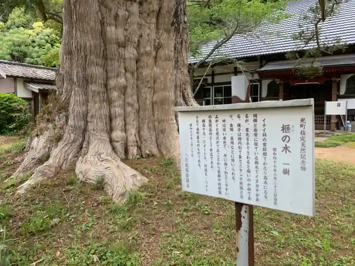 新善光寺(千葉県)