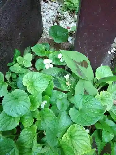 於三稲荷神社の庭園