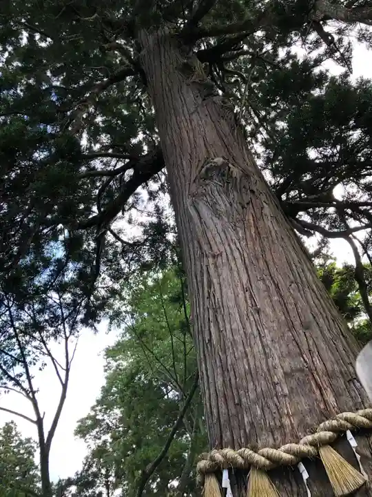 志波彦神社・鹽竈神社の自然