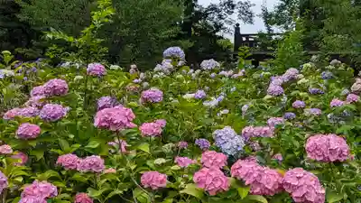  智積院(京都府)