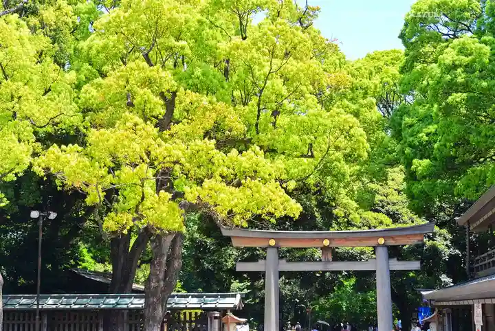 明治神宮(東京都)