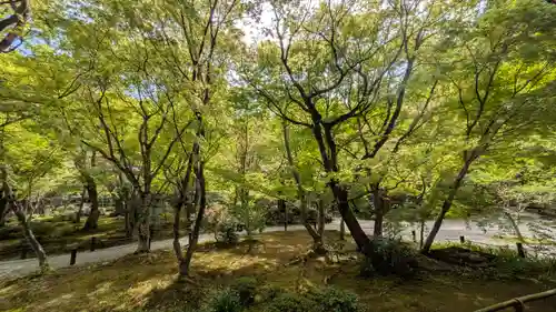 圓光寺(京都府)