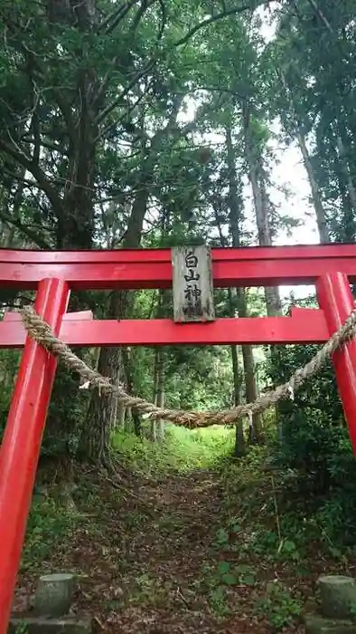 白山神社の鳥居