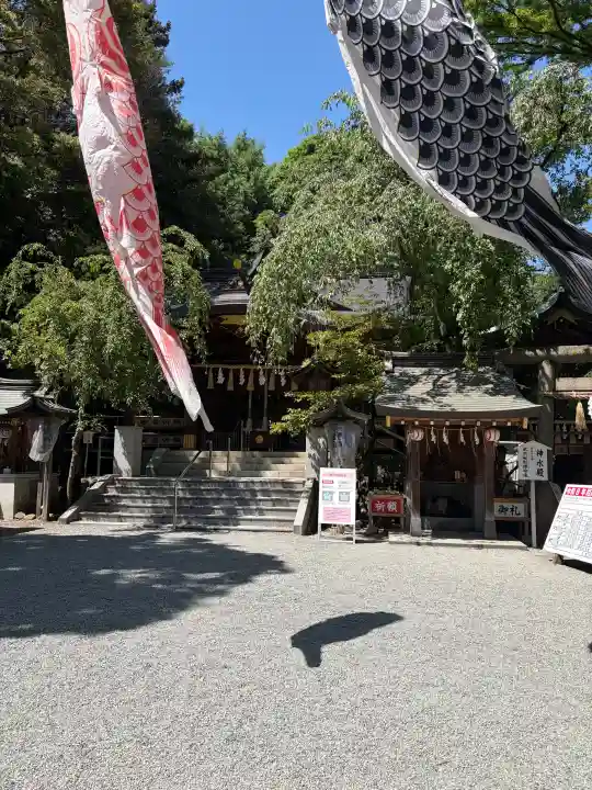 子安神社の{uncategorized: "未分類", other: "その他", undefined: "問題あり", building: "その他建物", grave: "お墓", sacred_gate: "鳥居", guardian: "狛犬", statue: "像", buddha: "仏像", history: "歴史", nature: "自然", garden: "庭園", animal: "動物", pagoda: "塔", temizu: "手水舎", mountain_gate: "山門・神門", sanctuary: "本殿・本堂", subordinate: "末社・摂社", art: "芸術", scenery: "景色", jizo: "地蔵", ema: "絵馬", goshuin: "御朱印", omikuji: "おみくじ", items: "授与品その他", amulet: "お守り", goshuincho: "御朱印帳", eats: "食事", festival: "お祭り", votive_dance: "神楽", shichigosan: "七五三参", wedding: "結婚式", experience: "体験その他", initially: "初詣", around: "周辺", anti_infection: "感染症対策"}