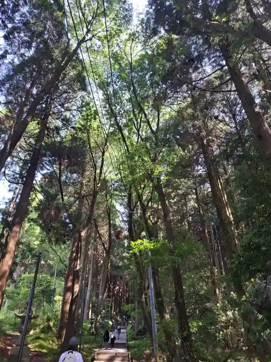 上色見熊野座神社(熊本県)
