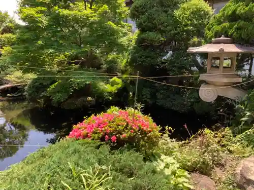 妙純寺の庭園