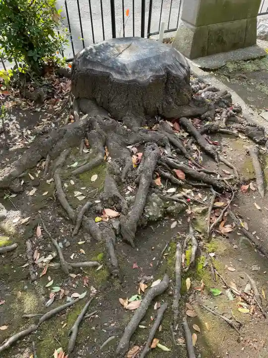 菊名池弁財天(神奈川県)