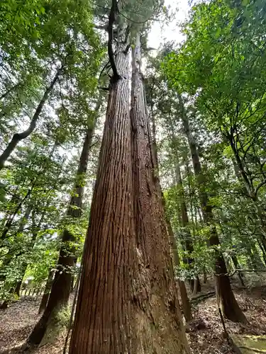 若狭彦神社（上社）(福井県)
