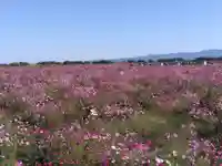 白山神社(福井県)