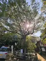 等乃伎神社の{uncategorized: "未分類", other: "その他", undefined: "問題あり", building: "その他建物", grave: "お墓", sacred_gate: "鳥居", guardian: "狛犬", statue: "像", buddha: "仏像", history: "歴史", nature: "自然", garden: "庭園", animal: "動物", pagoda: "塔", temizu: "手水舎", mountain_gate: "山門・神門", sanctuary: "本殿・本堂", subordinate: "末社・摂社", art: "芸術", scenery: "景色", jizo: "地蔵", ema: "絵馬", goshuin: "御朱印", omikuji: "おみくじ", items: "授与品その他", amulet: "お守り", goshuincho: "御朱印帳", eats: "食事", festival: "お祭り", votive_dance: "神楽", shichigosan: "七五三参", wedding: "結婚式", experience: "体験その他", initially: "初詣", around: "周辺", anti_infection: "感染症対策"}