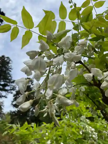 歌泉堂（春日大社神苑萬葉植物園内鎮座）(奈良県)