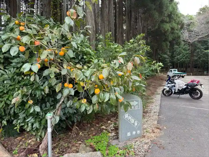 縣神社(千葉県)