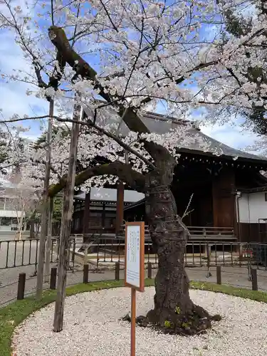 靖國神社の庭園