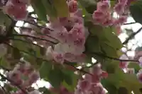 大六天麻王神社の自然