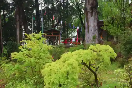 阿久津「田村神社」（郡山市阿久津町）旧社名：伊豆箱根三嶋三社の景色