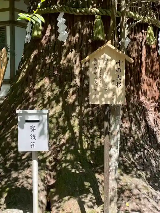 丹生川上神社(中社)の{uncategorized: "未分類", other: "その他", undefined: "問題あり", building: "その他建物", grave: "お墓", sacred_gate: "鳥居", guardian: "狛犬", statue: "像", buddha: "仏像", history: "歴史", nature: "自然", garden: "庭園", animal: "動物", pagoda: "塔", temizu: "手水舎", mountain_gate: "山門・神門", sanctuary: "本殿・本堂", subordinate: "末社・摂社", art: "芸術", scenery: "景色", jizo: "地蔵", ema: "絵馬", goshuin: "御朱印", omikuji: "おみくじ", items: "授与品その他", amulet: "お守り", goshuincho: "御朱印帳", eats: "食事", festival: "お祭り", votive_dance: "神楽", shichigosan: "七五三参", wedding: "結婚式", experience: "体験その他", initially: "初詣", around: "周辺", anti_infection: "感染症対策"}