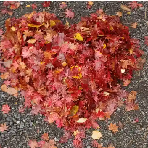 彌彦神社　(伊夜日子神社)(北海道)