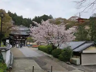 岡寺（龍蓋寺）の{uncategorized: "未分類", other: "その他", undefined: "問題あり", building: "その他建物", grave: "お墓", sacred_gate: "鳥居", guardian: "狛犬", statue: "像", buddha: "仏像", history: "歴史", nature: "自然", garden: "庭園", animal: "動物", pagoda: "塔", temizu: "手水舎", mountain_gate: "山門・神門", sanctuary: "本殿・本堂", subordinate: "末社・摂社", art: "芸術", scenery: "景色", jizo: "地蔵", ema: "絵馬", goshuin: "御朱印", omikuji: "おみくじ", items: "授与品その他", amulet: "お守り", goshuincho: "御朱印帳", eats: "食事", festival: "お祭り", votive_dance: "神楽", shichigosan: "七五三参", wedding: "結婚式", experience: "体験その他", initially: "初詣", around: "周辺", anti_infection: "感染症対策"}