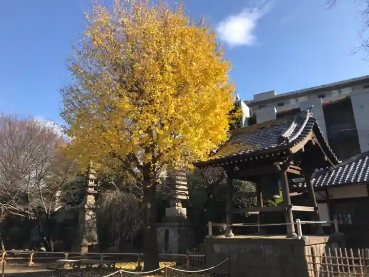 新井薬師(梅照院)のその他建物