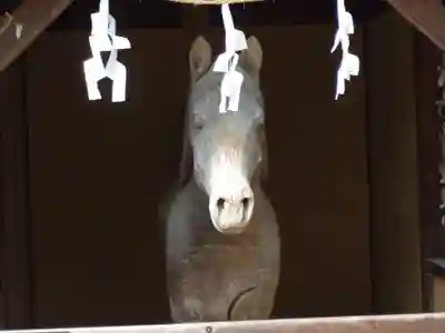 円政寺(山口県)