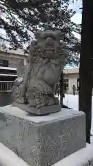 新琴似神社の狛犬