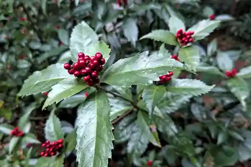 善教寺(岐阜県)