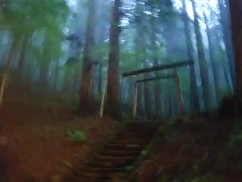 戸隠神社宝光社(長野県)