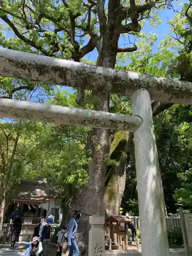 伊弉諾神宮のその他建物