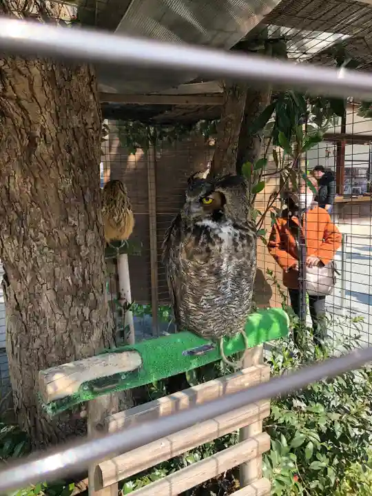 宮地嶽神社(福岡県)