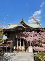 桜神宮の本殿・本堂