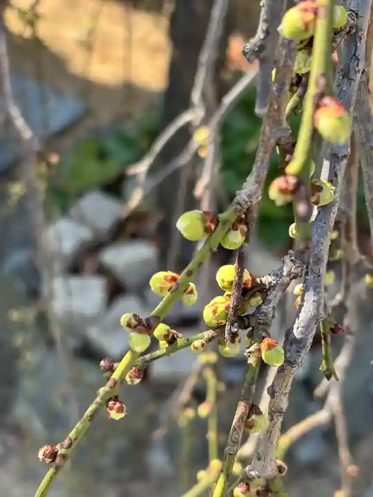 正覚寺(兵庫県)