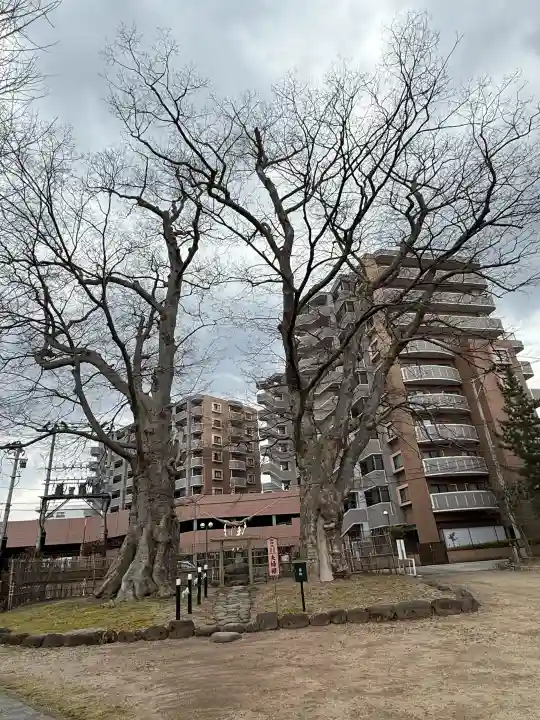 熊野神社の{uncategorized: "未分類", other: "その他", undefined: "問題あり", building: "その他建物", grave: "お墓", sacred_gate: "鳥居", guardian: "狛犬", statue: "像", buddha: "仏像", history: "歴史", nature: "自然", garden: "庭園", animal: "動物", pagoda: "塔", temizu: "手水舎", mountain_gate: "山門・神門", sanctuary: "本殿・本堂", subordinate: "末社・摂社", art: "芸術", scenery: "景色", jizo: "地蔵", ema: "絵馬", goshuin: "御朱印", omikuji: "おみくじ", items: "授与品その他", amulet: "お守り", goshuincho: "御朱印帳", eats: "食事", festival: "お祭り", votive_dance: "神楽", shichigosan: "七五三参", wedding: "結婚式", experience: "体験その他", initially: "初詣", around: "周辺", anti_infection: "感染症対策"}