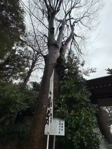阿佐ヶ谷神明宮の{uncategorized: "未分類", other: "その他", undefined: "問題あり", building: "その他建物", grave: "お墓", sacred_gate: "鳥居", guardian: "狛犬", statue: "像", buddha: "仏像", history: "歴史", nature: "自然", garden: "庭園", animal: "動物", pagoda: "塔", temizu: "手水舎", mountain_gate: "山門・神門", sanctuary: "本殿・本堂", subordinate: "末社・摂社", art: "芸術", scenery: "景色", jizo: "地蔵", ema: "絵馬", goshuin: "御朱印", omikuji: "おみくじ", items: "授与品その他", amulet: "お守り", goshuincho: "御朱印帳", eats: "食事", festival: "お祭り", votive_dance: "神楽", shichigosan: "七五三参", wedding: "結婚式", experience: "体験その他", initially: "初詣", around: "周辺", anti_infection: "感染症対策"}