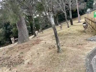東大寺戒壇院戒壇堂(奈良県)