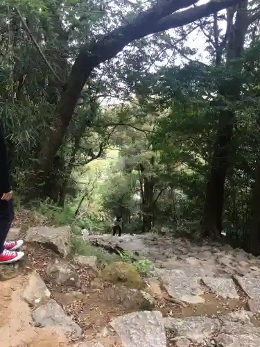 神倉神社（熊野速玉大社摂社）(和歌山県)