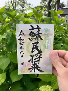 總社 和田八幡宮(福井県) 2025年06月01日(日)〜(2025年05月27日(火) 09時07分47秒投稿)