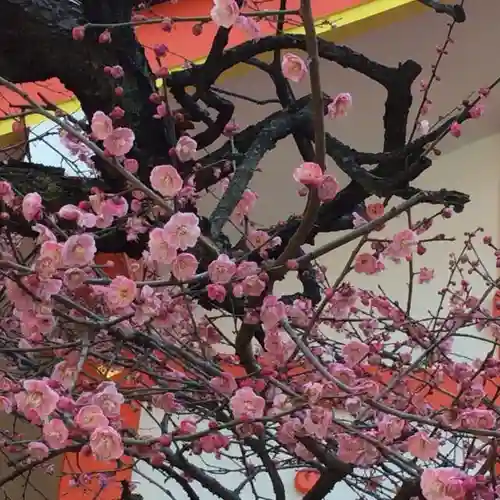 花園神社の自然