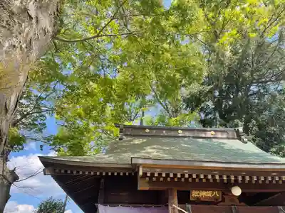 守谷総鎮守 八坂神社のその他建物