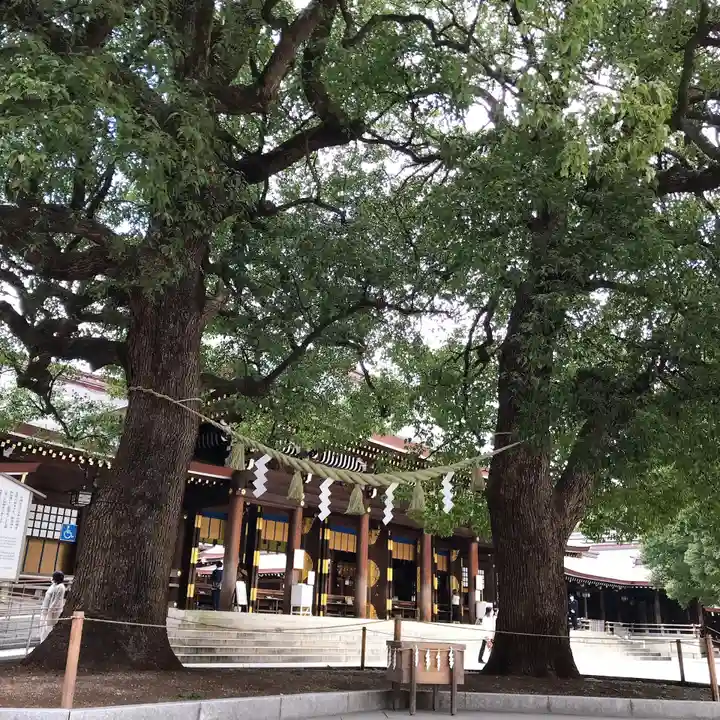 明治神宮(東京都)