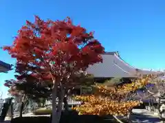 正法寺(愛知県)