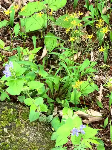 蚕影神社(茨城県)