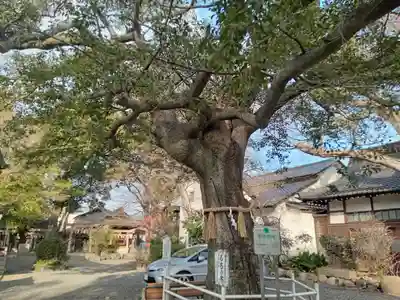 生根神社(大阪府)