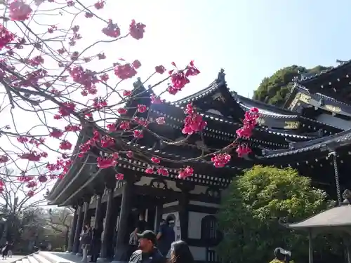 長谷寺(神奈川県)