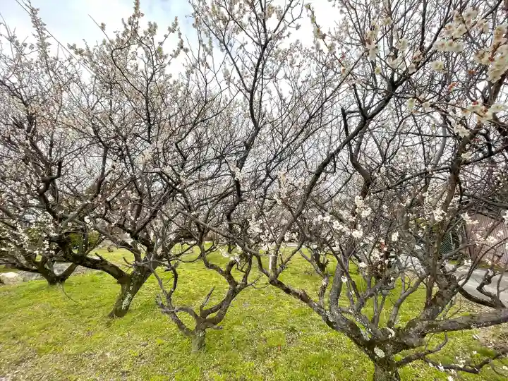 八宮赤山神社(滋賀県)