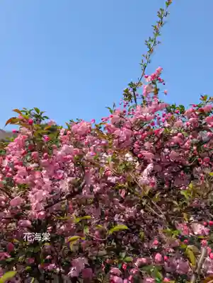 豊顕寺(神奈川県)