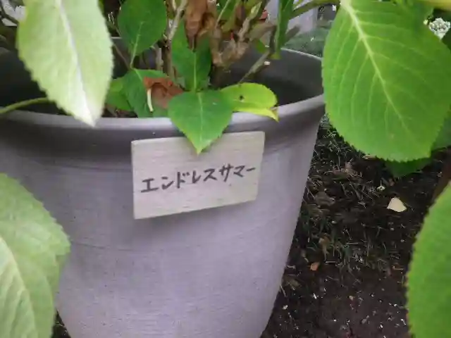 長谷寺のその他建物