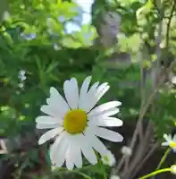 厚別神社(北海道)
