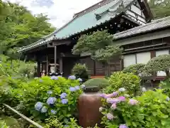 妙楽寺の本殿